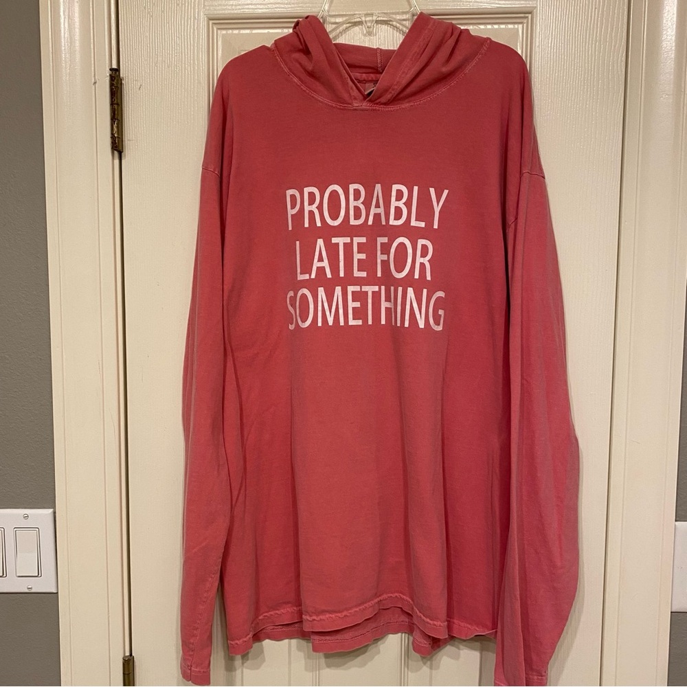 Cozy Comfort Colors long sleeve hooded tee shirt